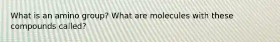 What is an amino group? What are molecules with these compounds called?