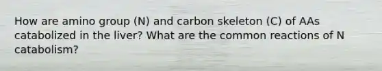 How are amino group (N) and carbon skeleton (C) of AAs catabolized in the liver? What are the common reactions of N catabolism?