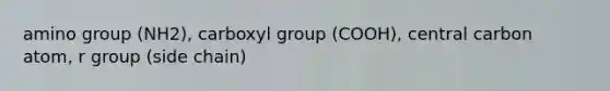 amino group (NH2), carboxyl group (COOH), central carbon atom, r group (side chain)