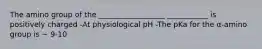 The amino group of the __________________ ___________ is positively charged -At physiological pH -The pKa for the α-amino group is ~ 9-10