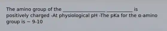 The amino group of the __________________ ___________ is positively charged -At physiological pH -The pKa for the α-amino group is ~ 9-10