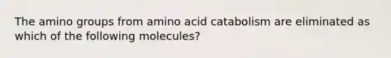 The amino groups from amino acid catabolism are eliminated as which of the following molecules?