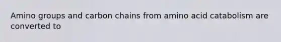 Amino groups and carbon chains from amino acid catabolism are converted to