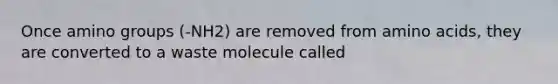 Once amino groups (-NH2) are removed from amino acids, they are converted to a waste molecule called