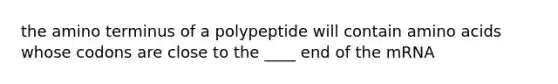 the amino terminus of a polypeptide will contain amino acids whose codons are close to the ____ end of the mRNA