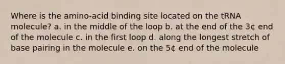 Where is the amino-acid binding site located on the tRNA molecule? a. in the middle of the loop b. at the end of the 3¢ end of the molecule c. in the first loop d. along the longest stretch of base pairing in the molecule e. on the 5¢ end of the molecule