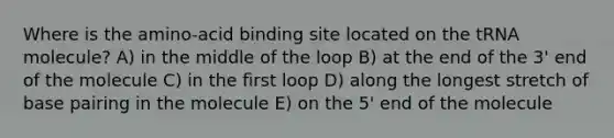 Where is the amino-acid binding site located on the tRNA molecule? A) in the middle of the loop B) at the end of the 3' end of the molecule C) in the first loop D) along the longest stretch of base pairing in the molecule E) on the 5' end of the molecule