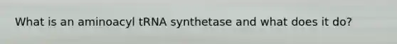 What is an aminoacyl tRNA synthetase and what does it do?