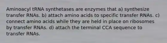 Aminoacyl tRNA synthetases are enzymes that a) synthesize transfer RNAs. b) attach amino acids to specific transfer RNAs. c) connect amino acids while they are held in place on ribosomes by transfer RNAs. d) attach the terminal CCA sequence to transfer RNAs.