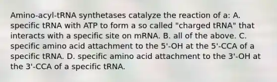 Amino-acyl-tRNA synthetases catalyze the reaction of a: A. specific tRNA with ATP to form a so called "charged tRNA" that interacts with a specific site on mRNA. B. all of the above. C. specific amino acid attachment to the 5'-OH at the 5'-CCA of a specific tRNA. D. specific amino acid attachment to the 3'-OH at the 3'-CCA of a specific tRNA.