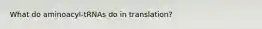 What do aminoacyl-tRNAs do in translation?