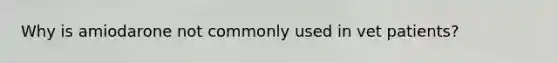 Why is amiodarone not commonly used in vet patients?