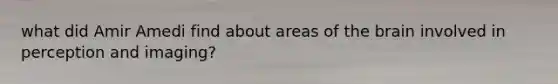 what did Amir Amedi find about areas of the brain involved in perception and imaging?