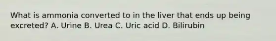 What is ammonia converted to in the liver that ends up being excreted? A. Urine B. Urea C. Uric acid D. Bilirubin