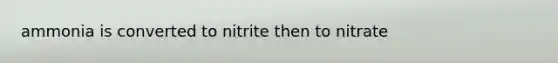 ammonia is converted to nitrite then to nitrate
