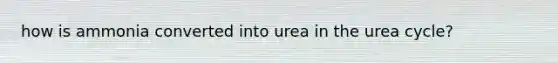 how is ammonia converted into urea in the urea cycle?