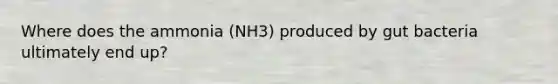 Where does the ammonia (NH3) produced by gut bacteria ultimately end up?