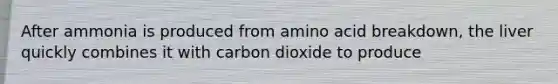 After ammonia is produced from amino acid breakdown, the liver quickly combines it with carbon dioxide to produce