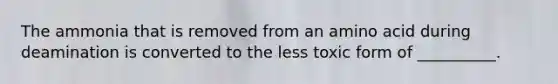 The ammonia that is removed from an amino acid during deamination is converted to the less toxic form of __________.