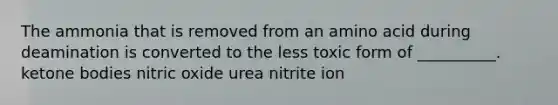 The ammonia that is removed from an amino acid during deamination is converted to the less toxic form of __________. ketone bodies nitric oxide urea nitrite ion