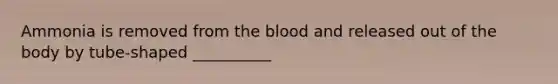 Ammonia is removed from the blood and released out of the body by tube-shaped __________