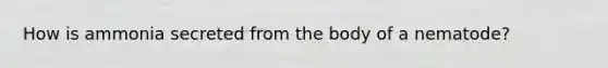 How is ammonia secreted from the body of a nematode?