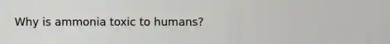 Why is ammonia toxic to humans?