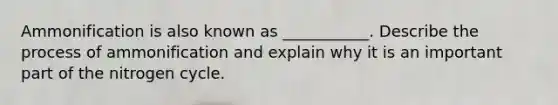 Ammonification is also known as ___________. Describe the process of ammonification and explain why it is an important part of the nitrogen cycle.