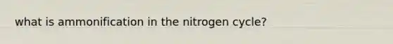 what is ammonification in the nitrogen cycle?