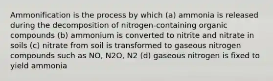 Ammonification is the process by which (a) ammonia is released during the decomposition of nitrogen-containing organic compounds (b) ammonium is converted to nitrite and nitrate in soils (c) nitrate from soil is transformed to gaseous nitrogen compounds such as NO, N2O, N2 (d) gaseous nitrogen is fixed to yield ammonia