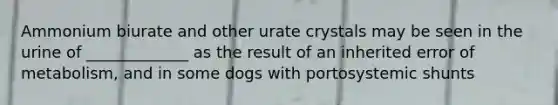 Ammonium biurate and other urate crystals may be seen in the urine of _____________ as the result of an inherited error of metabolism, and in some dogs with portosystemic shunts