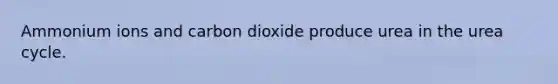 Ammonium ions and carbon dioxide produce urea in the urea cycle.