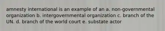 amnesty international is an example of an a. non-governmental organization b. intergovernmental organization c. branch of the UN. d. branch of the world court e. substate actor