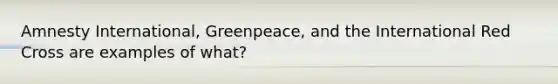 Amnesty International, Greenpeace, and the International Red Cross are examples of what?