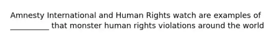 Amnesty International and Human Rights watch are examples of __________ that monster human rights violations around the world