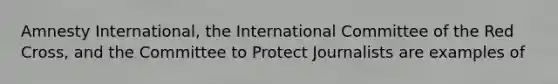 Amnesty International, the International Committee of the Red Cross, and the Committee to Protect Journalists are examples of