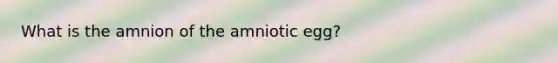 What is the amnion of the amniotic egg?