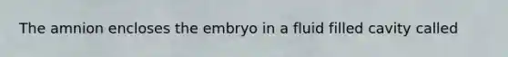 The amnion encloses the embryo in a fluid filled cavity called