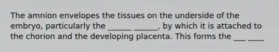 The amnion envelopes the tissues on the underside of the embryo, particularly the ______ ______, by which it is attached to the chorion and the developing placenta. This forms the ___ ____