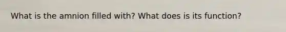 What is the amnion filled with? What does is its function?