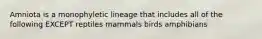 Amniota is a monophyletic lineage that includes all of the following EXCEPT reptiles mammals birds amphibians