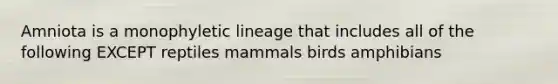 Amniota is a monophyletic lineage that includes all of the following EXCEPT reptiles mammals birds amphibians