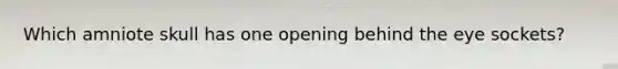 Which amniote skull has one opening behind the eye sockets?