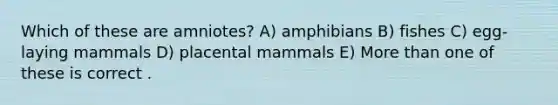 Which of these are amniotes? A) amphibians B) fishes C) egg-laying mammals D) placental mammals E) More than one of these is correct .