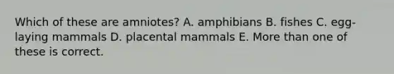 Which of these are amniotes? A. amphibians B. fishes C. egg-laying mammals D. placental mammals E. <a href='https://www.questionai.com/knowledge/keWHlEPx42-more-than' class='anchor-knowledge'>more than</a> one of these is correct.