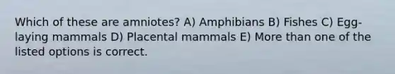 Which of these are amniotes? A) Amphibians B) Fishes C) Egg-laying mammals D) Placental mammals E) More than one of the listed options is correct.