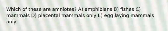 Which of these are amniotes? A) amphibians B) fishes C) mammals D) placental mammals only E) egg-laying mammals only