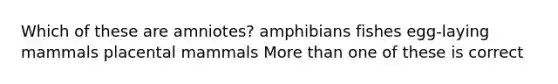 Which of these are amniotes? amphibians fishes egg-laying mammals placental mammals <a href='https://www.questionai.com/knowledge/keWHlEPx42-more-than' class='anchor-knowledge'>more than</a> one of these is correct