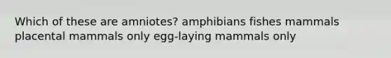 Which of these are amniotes? amphibians fishes mammals placental mammals only egg-laying mammals only