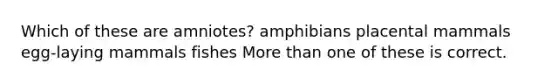 Which of these are amniotes? amphibians placental mammals egg-laying mammals fishes More than one of these is correct.